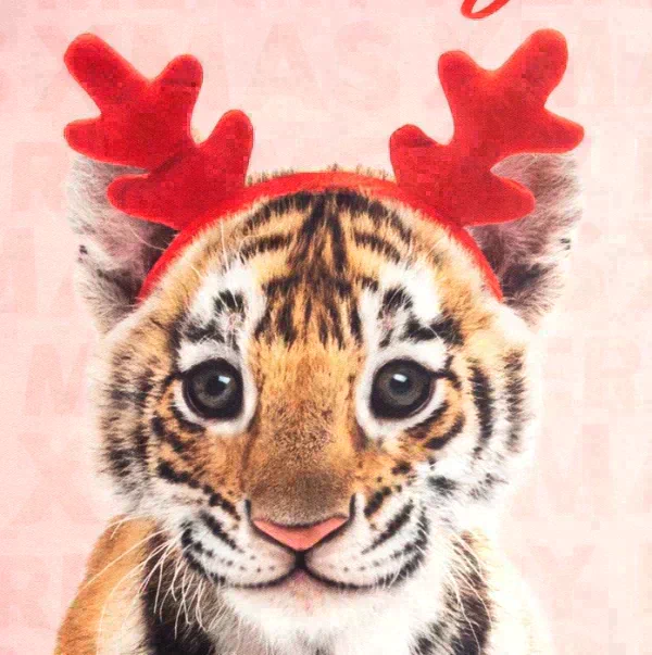 Новогодний подарочный набор кухонный Merry Xmas подставка, полотенце, формочка