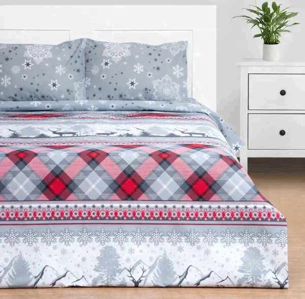 Постельное бельё Этель 1.5сп Snow time 143х215см,150х214см,50х70см-2 шт